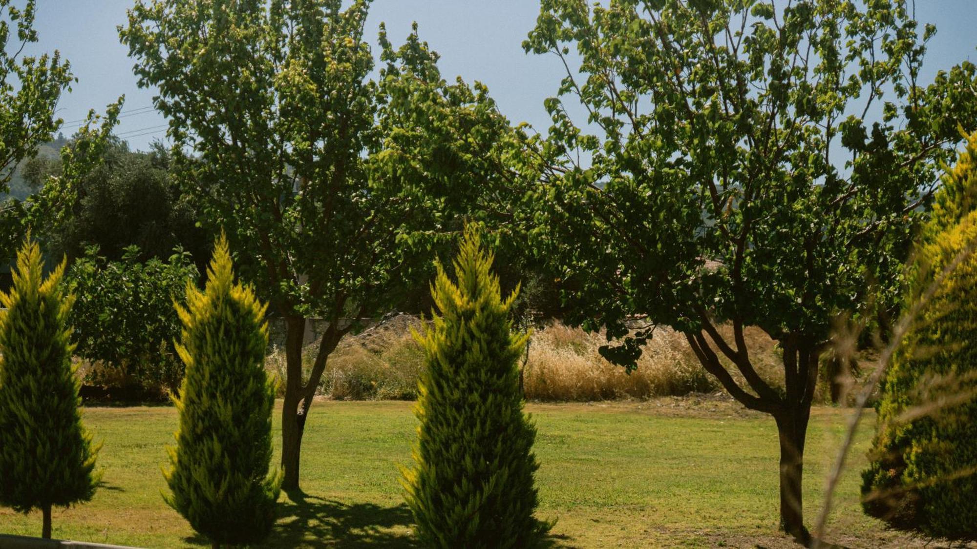 Vela Garden Resort Çeşme Esterno foto